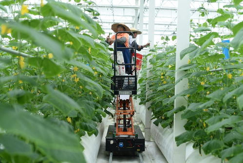 新華網(wǎng)長三角頻道 解碼旅游業(yè)務(wù)新生態(tài)，賦能區(qū)域文旅高質(zhì)量發(fā)展