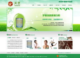 武漢天芝食品有限公司官網(wǎng)建設項目方案